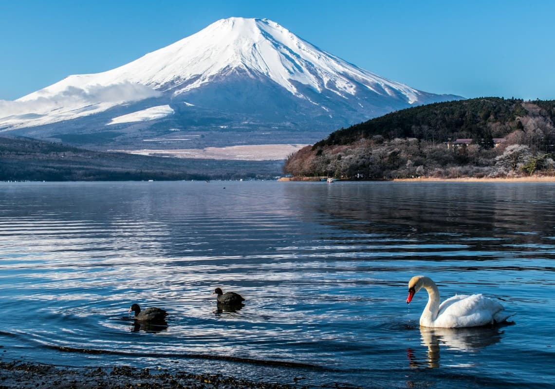體驗不同角度的富士山風情!