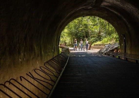 來趟親子追風單車遊吧!