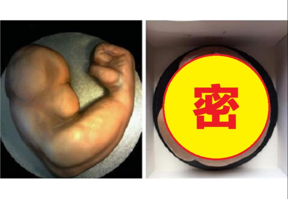 說好的二頭肌生日蛋糕?他打開一看驚見「巨大腰果」氣炸!