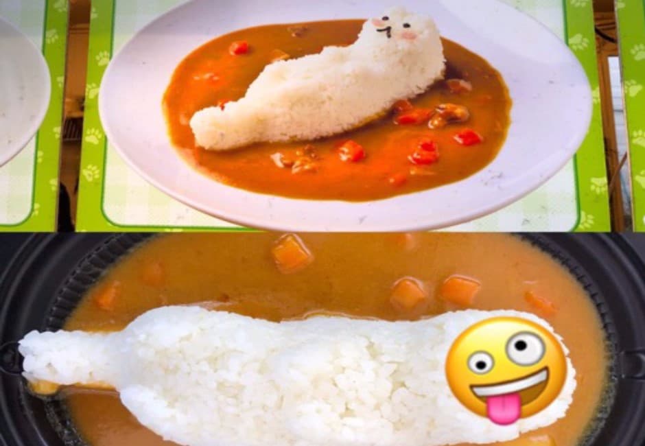 多圖/欺騙我幼小心靈!水獺咖哩飯實體長這樣…網笑:沒開美肌?