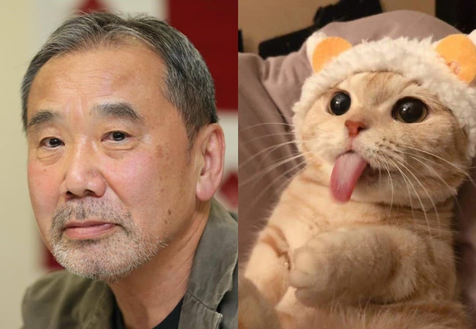 厭世感爆棚?村上春樹:大部分的煩惱,養貓就會好了!