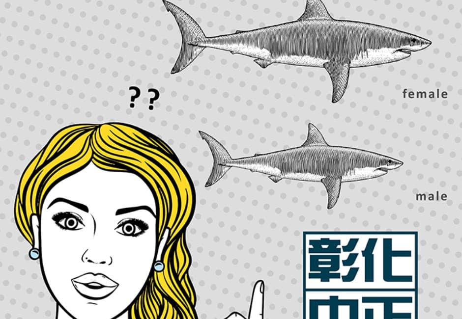 「可不可」彰化版菜單驚現「2條鯊魚」?眾人敲碗小編解答笑爆:超有梗