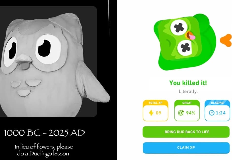 為了讓你學習以死相逼!多鄰國宣布吉祥物去世 為什麼多兒被叫「情勒鳥」?