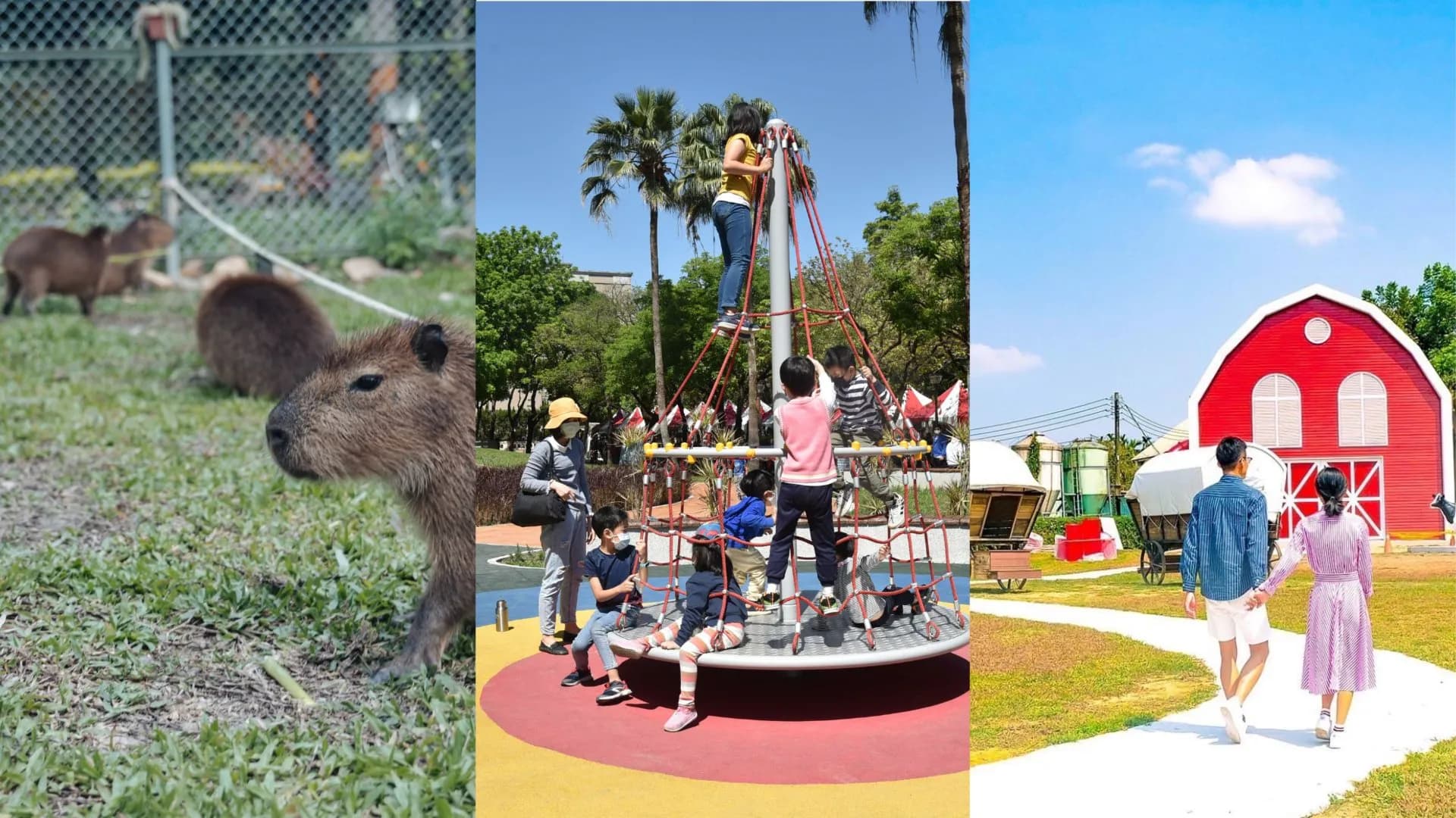 中南部超人氣親子出遊景點!水豚咖啡廳、超大公園、生態牧場帶你一次看