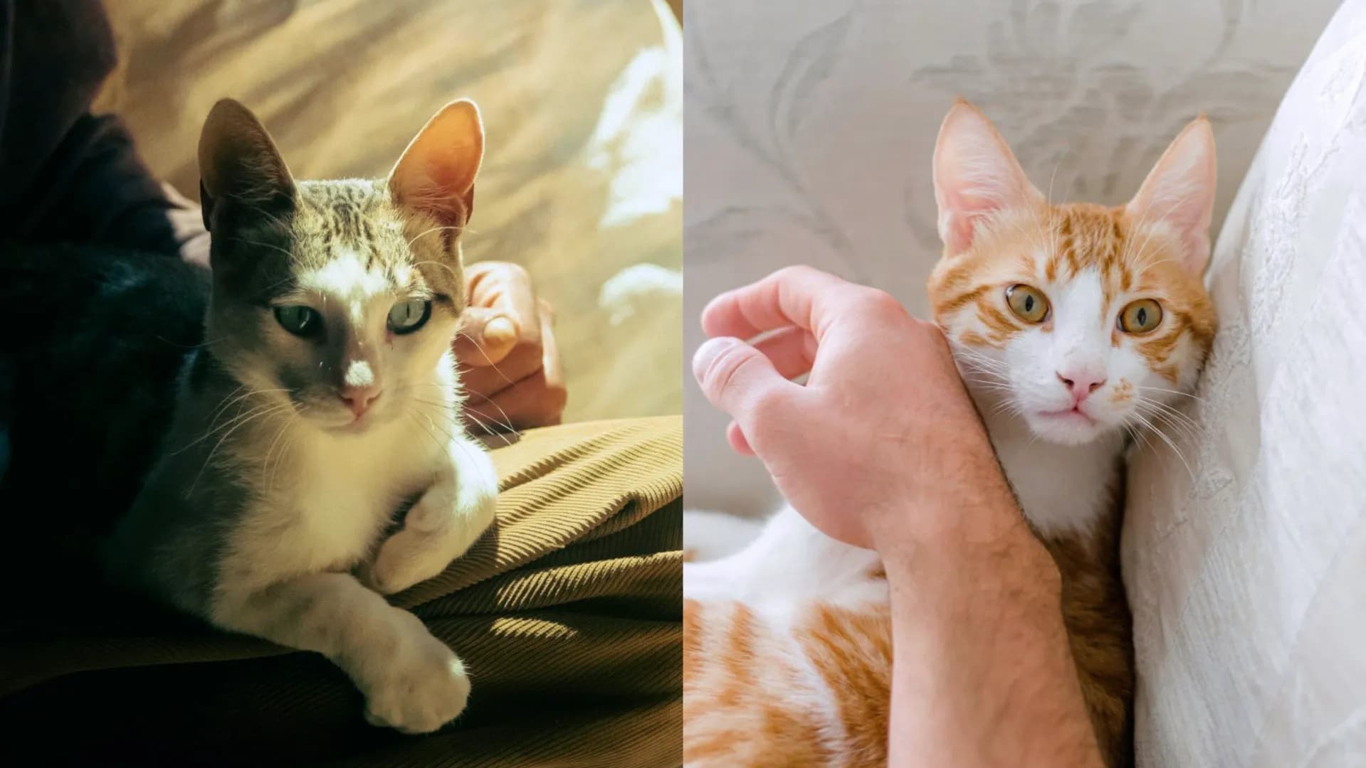 No.4 沒有足夠時間陪伴