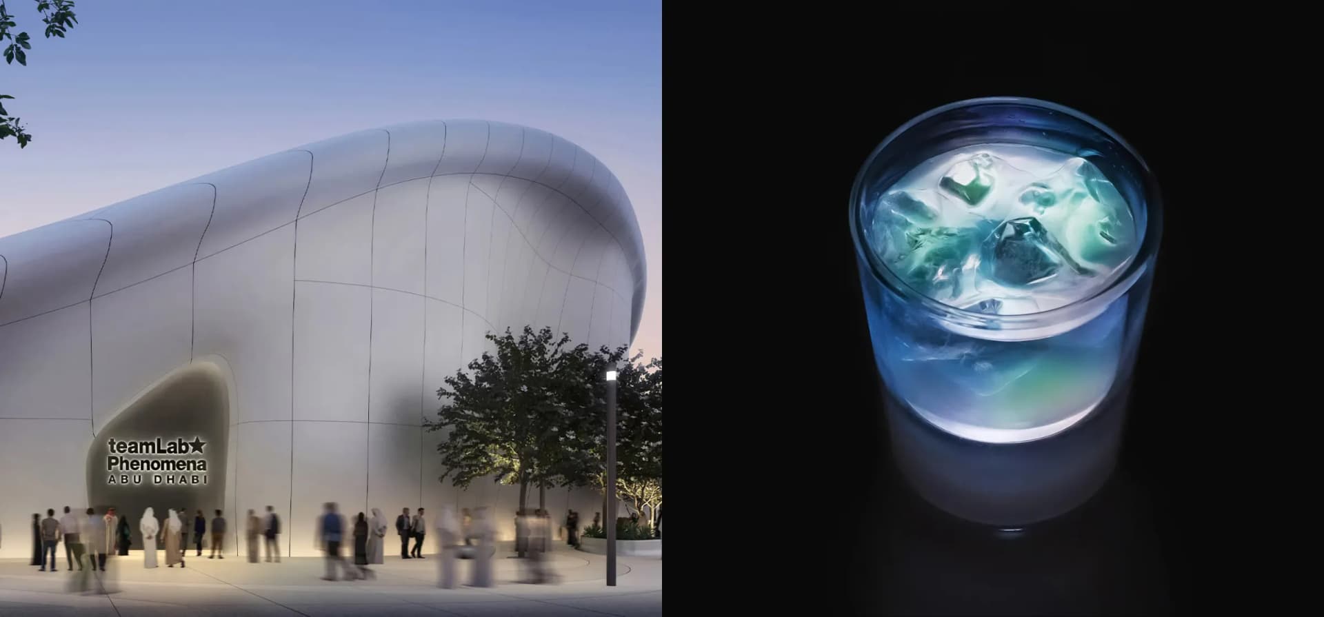 No.7 teamLab Phenomena