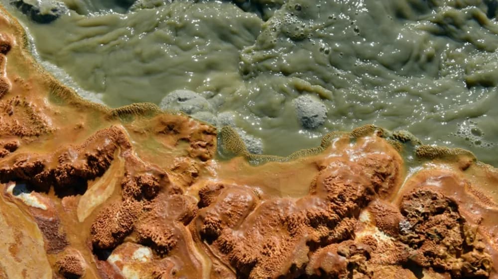 No.4 環境重金屬累積