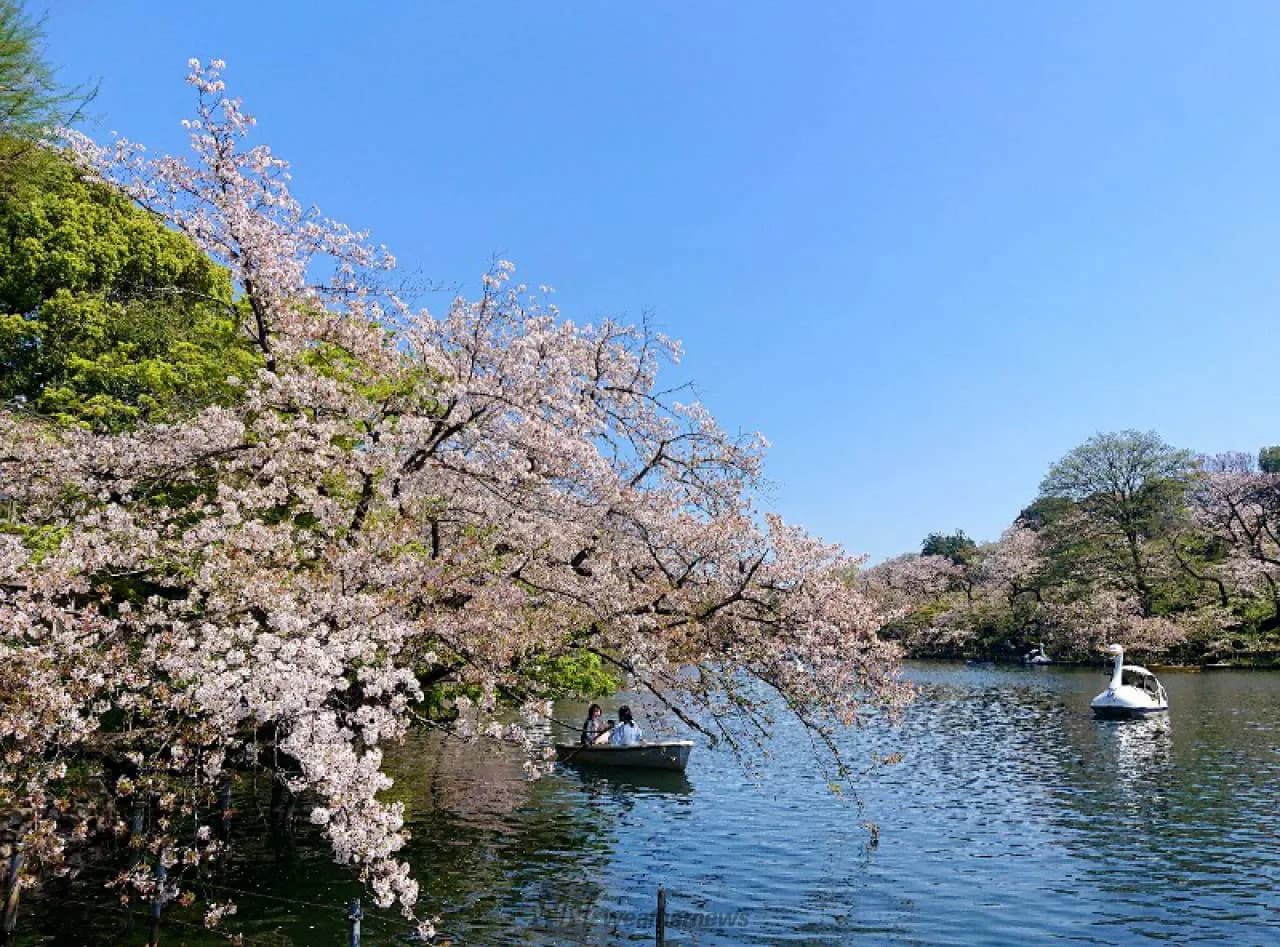 No.7 井之頭恩賜公園