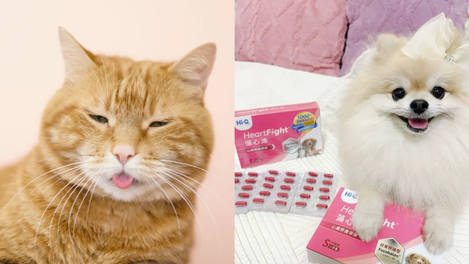 No.8 呼吸急促、莫名喘氣