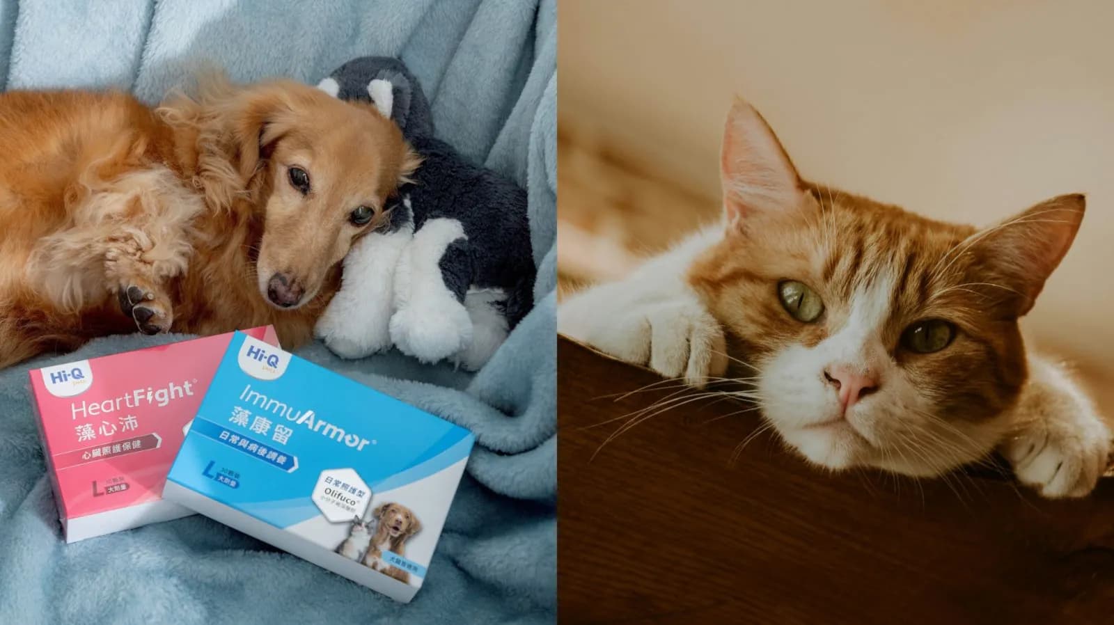 No.1 食慾下降、變得挑食