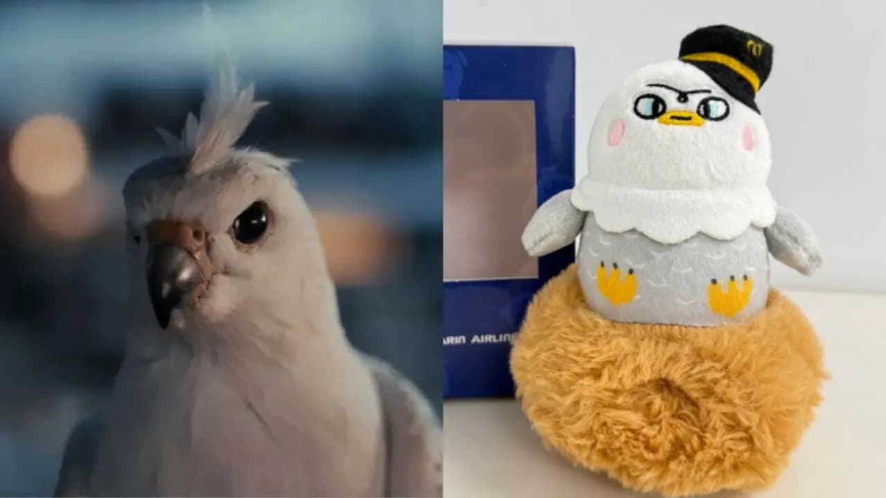 可愛信差「海東青」 真實世界為「猛禽」