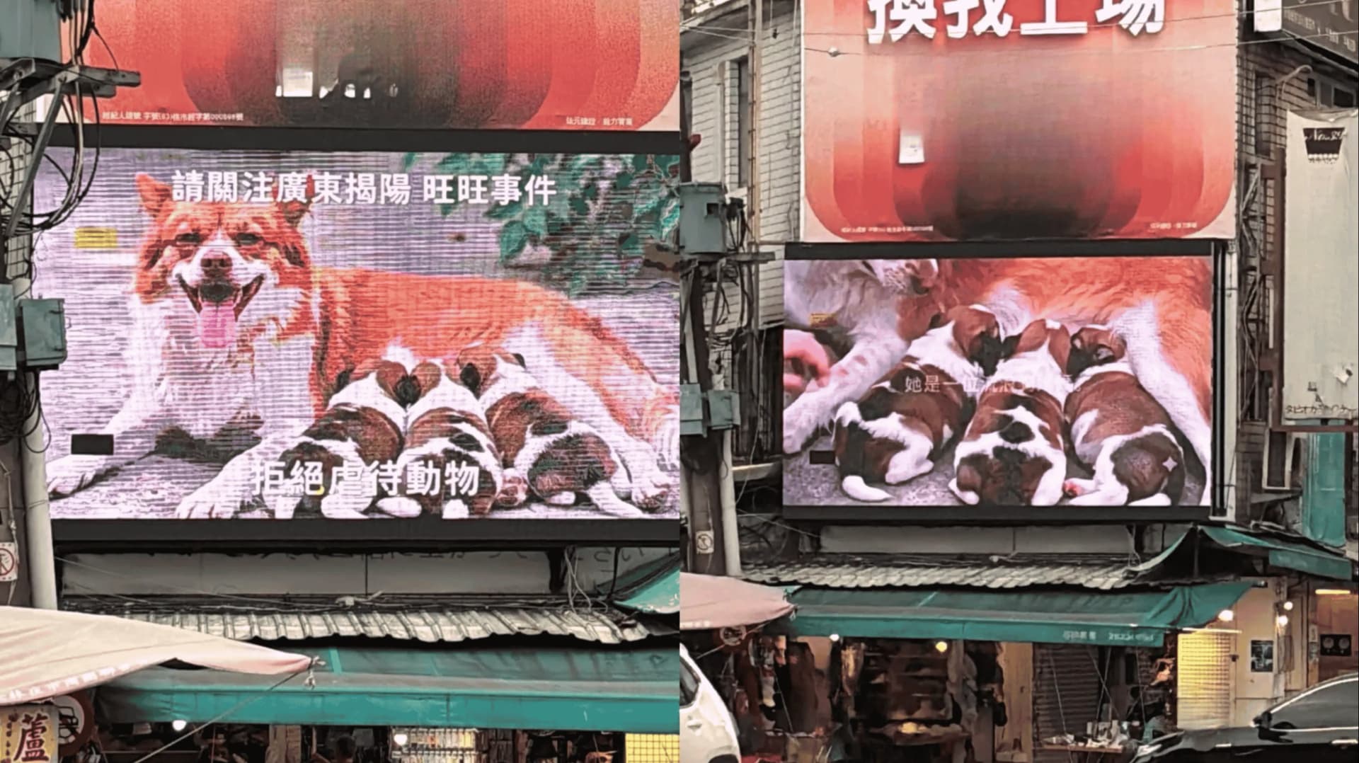 士林街頭大型電子看板為旺旺一家聲援