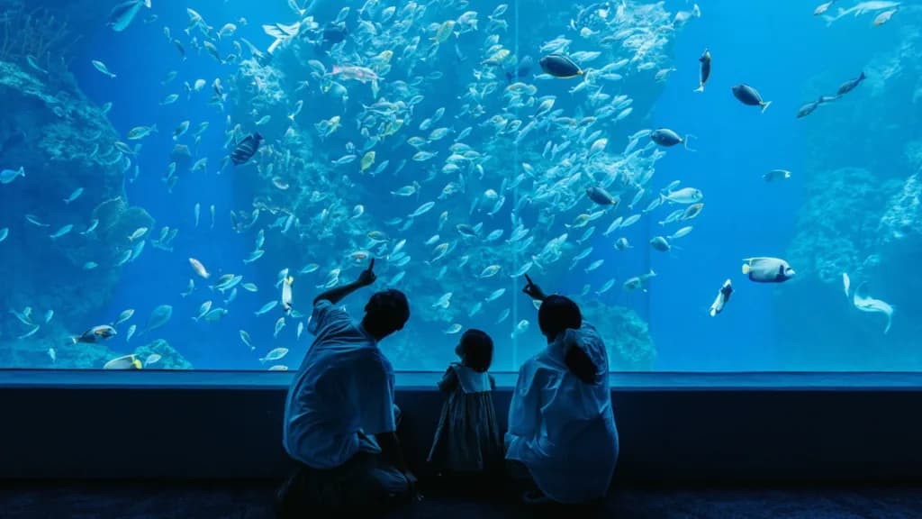 一家三口的背影蹲坐在藍色巨大水族缸前,父母與小孩一同伸手指著水缸內成群悠游的魚群與海洋生物。