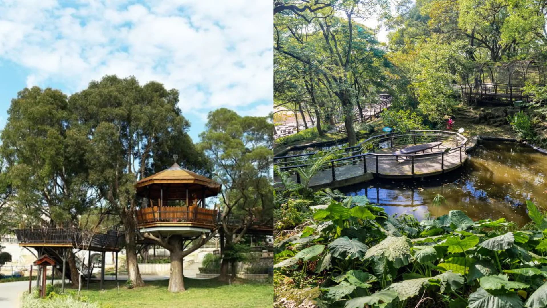 桃園景點虎頭山風景特定區主題組合圖。畫面左側展示奧爾森林學堂特色木造樹屋,右側呈現公園生態池與林間空中木棧步道景致,展現都市綠肺自然親民風貌景致。